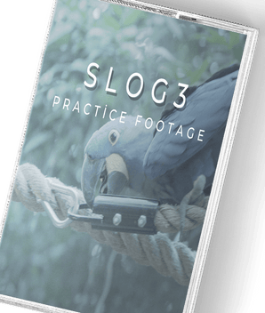 Free Presets  For Davinci Resolve - GSMixedMedia