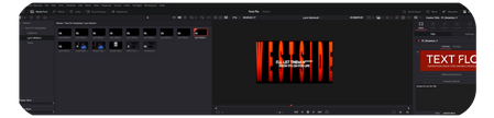 Text Flo  DaVinci Resolve Text Animation Pack